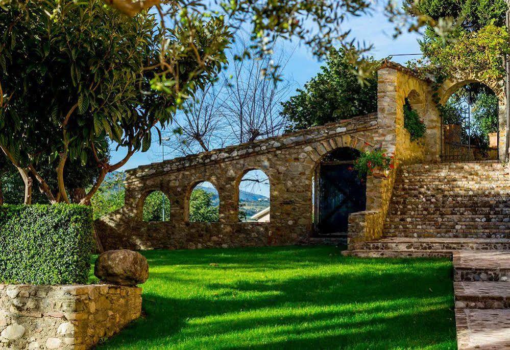 Corte Dei Tini Villa Vomano Exteriér fotografie